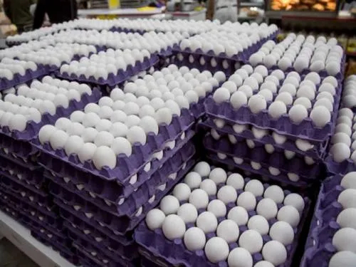 Se dispara el precio del huevo en Oaxaca, alcanza 75 pesos