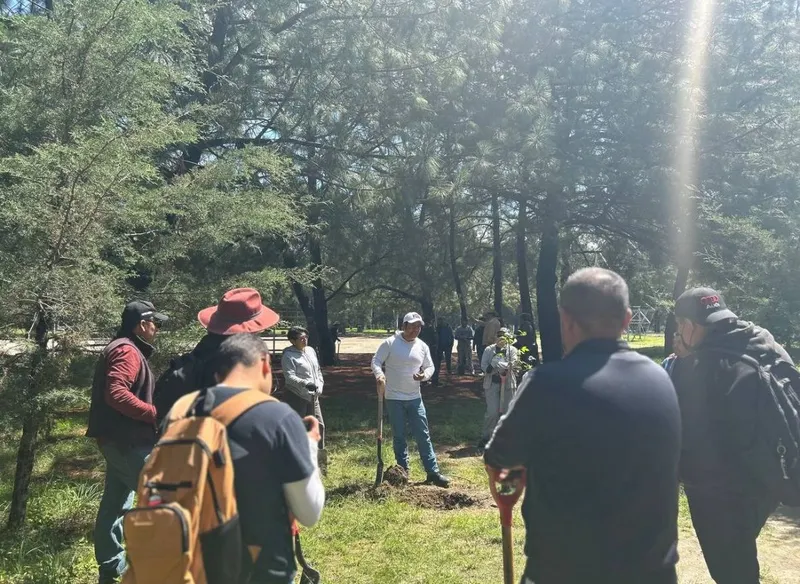 ayto-pue-plantacion-arboles-reforestacion