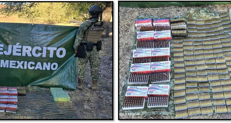 gabinete-seguridad-sonora