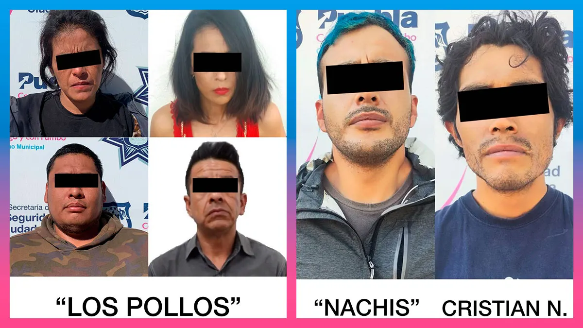 Pollos Nachis