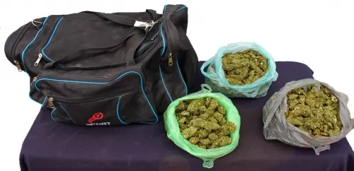 Detuvo policía municipal de Puebla a hombre en posesión de 2.5 kilogramos de posible marihuana