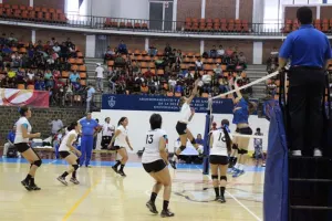 Mantienen Borreguitas posibilidades de avanzar pese a caída