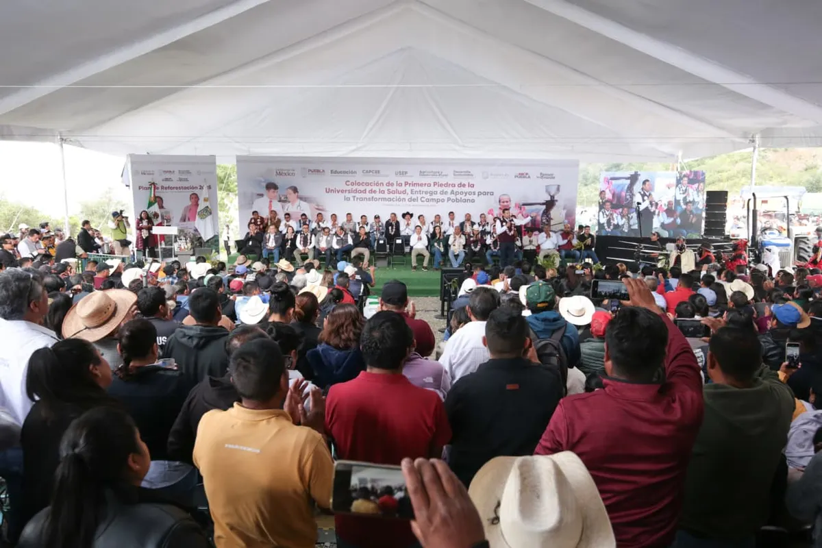Imagen del artículo