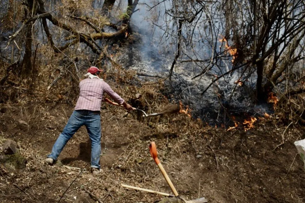 Incendio en Tepoztlán consume 74 hectáreas de bosque