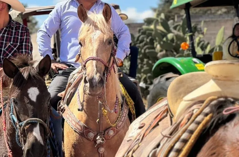 El legado tóxico de Juan Lira Maldonado en Chignahuapan