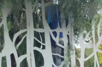 Encuentran cadáver de un hombre colgado de un árbol en la zona de Los Fuertes