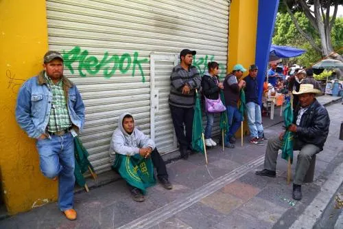 UNTA acusa que gobierno Puebla no ha brindado apoyos al campo y demanda destitución de delegada