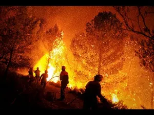 Incendios forestales disminuyen en 2015