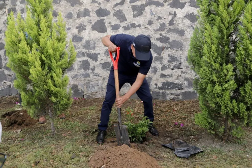 Jornada de forestación