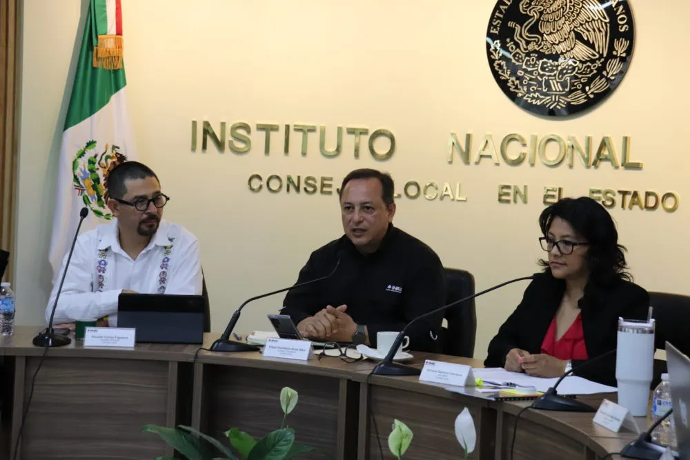 Instituto Nacional Electoral (INE),