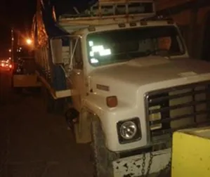 PEP asegura camión con carbón de procedencia ilícita