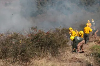 Puebla suma 85 incendios forestales liquidados en lo que va de 2026, con más de mil 485 hectáreas afectadas