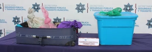 Rescató policía municipal de Puebla cerca de 290 ejemplares de fauna silvestre