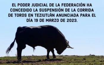 Suspenden corrida de toros en Teziutlán por orden de un juez