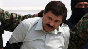El chango Botas llevó a fuerzas especiales hasta ‘El Chapo’