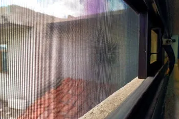 El estado de Puebla acumula mil 864 casos por dengue en lo que va de 2024