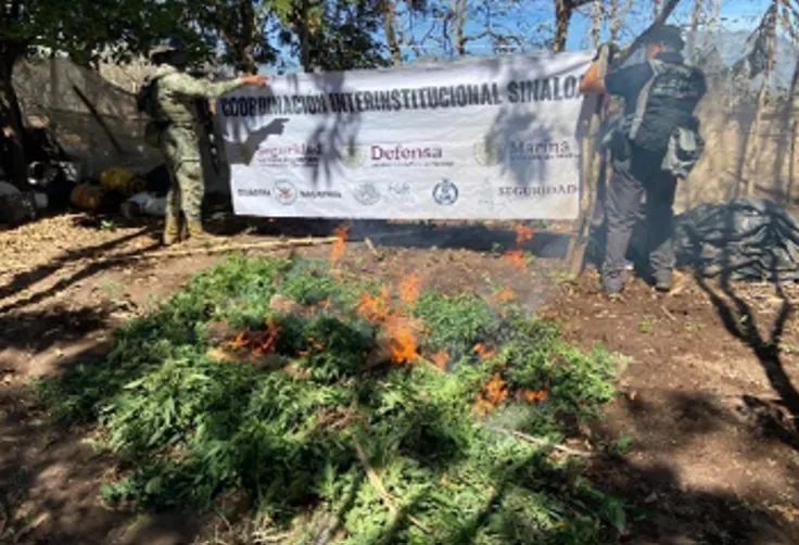 operacion-frontera-norte-sinaloa