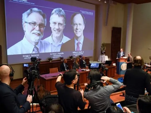 Dan Nobel de Medicina a investigación celular