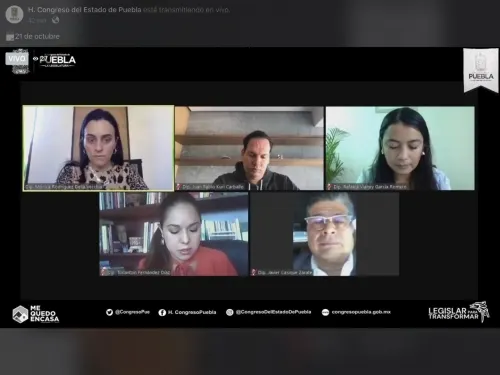 En comisión avalan reformas a la Ley Orgánica de la Administración Pública en materia educación