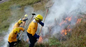 Crea Conafor fondo para contingencias ambientales