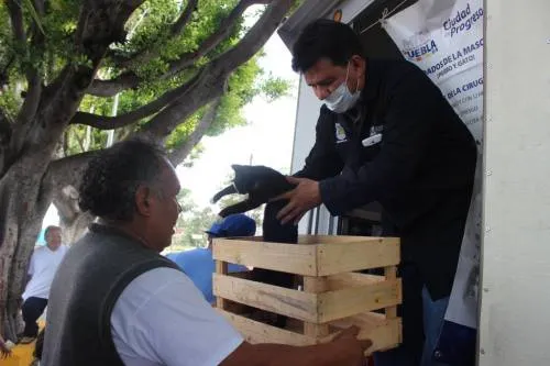 Ayuntamiento realizó jornada de esterilización y vacunación a mascotas en La Margarita