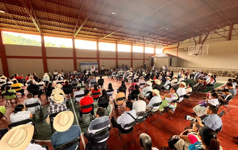 Imagen del artículo