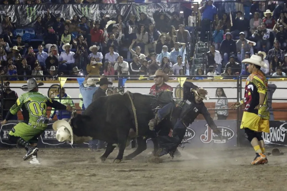 Jaripeo