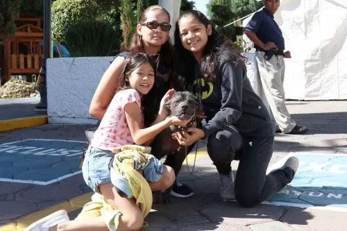 Secretaría de Salud realiza jornadas de esterilización canina y felina