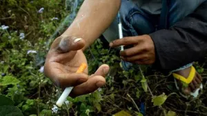 Federación sólo acepta un caso de Krokodil en México