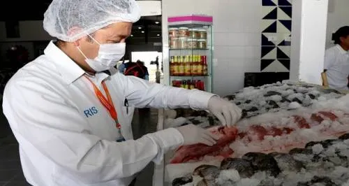 Se supervisarán balnearios y venta de pescados y mariscos: SSE
