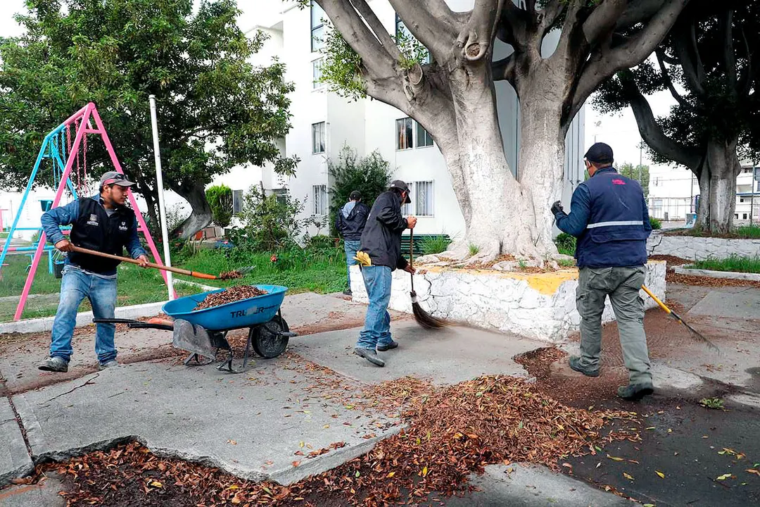 Mantenimiento Areas Verdes Fovissste San Manuel