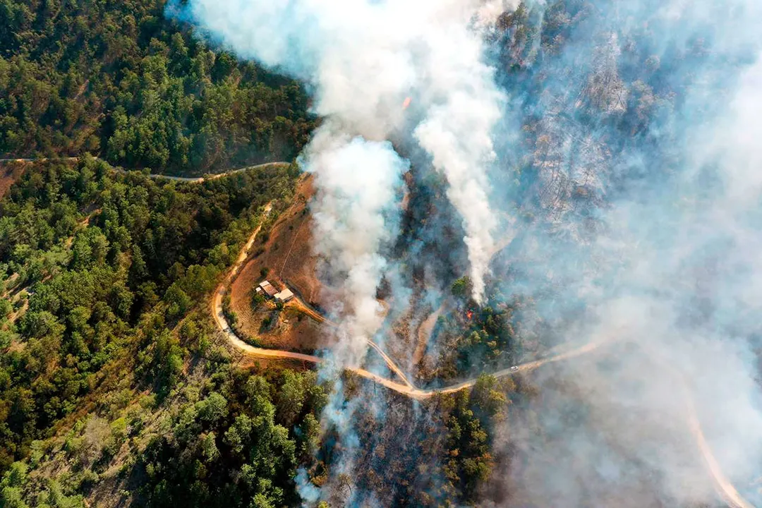 Incendio Forestal Zacatlan