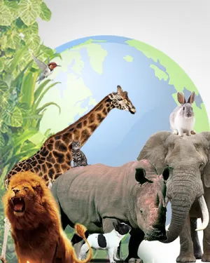 Día Mundial de los Animales
