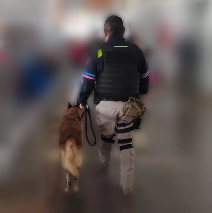 K9 de la Policía Municipal de Puebla aseguró alrededor de 22 kilogramos