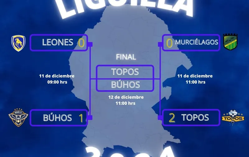 Topos