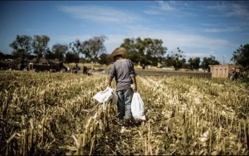 Economía mexicana crece en segundo trimestre del 2018