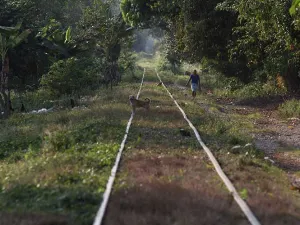 La historia de migrantes que se quedan a radicar en México