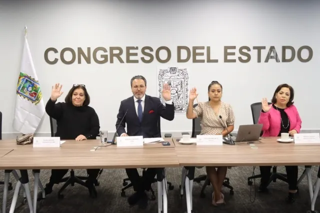 Comisión de Organizaciones No Gubernamentales