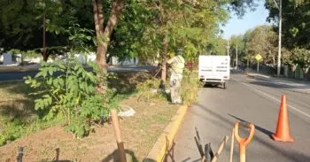 Atlixco sigue floreciendo: gobierno municipal transforma espacios públicos con esfuerzo diario