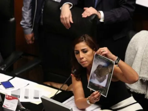 Revelan adjudicaciones a familiares de senadora Villegas Canché