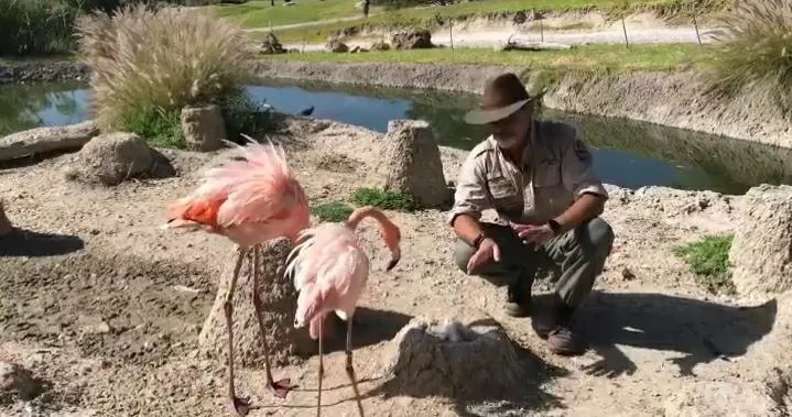 Foto: Captura de Video