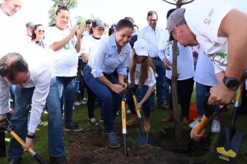 Dinorah López de Gali encabeza inédita cruzada de reforestación 