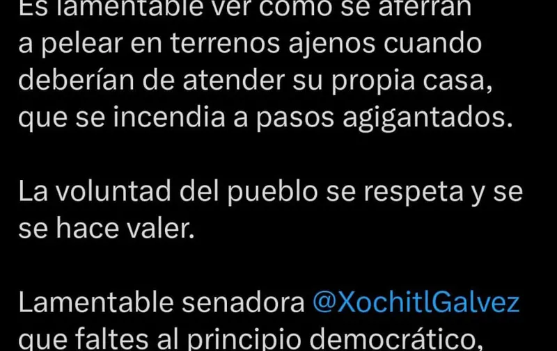 Diputados-de-Morena-respaldan-triunfo-de-Tonantzin-Fernández