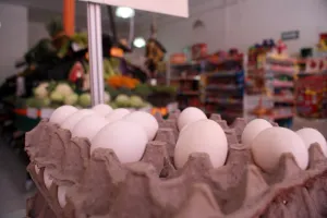 Huevo de Rancho, programa que reduce migración de niños y adolescentes