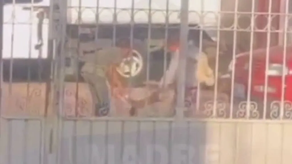 Maltrato animal