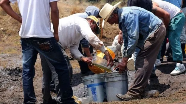 Imagen del artículo