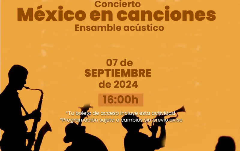 Imagen 5