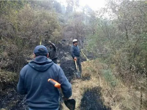 Consume incendio parte del Santuario de la Luciérnaga