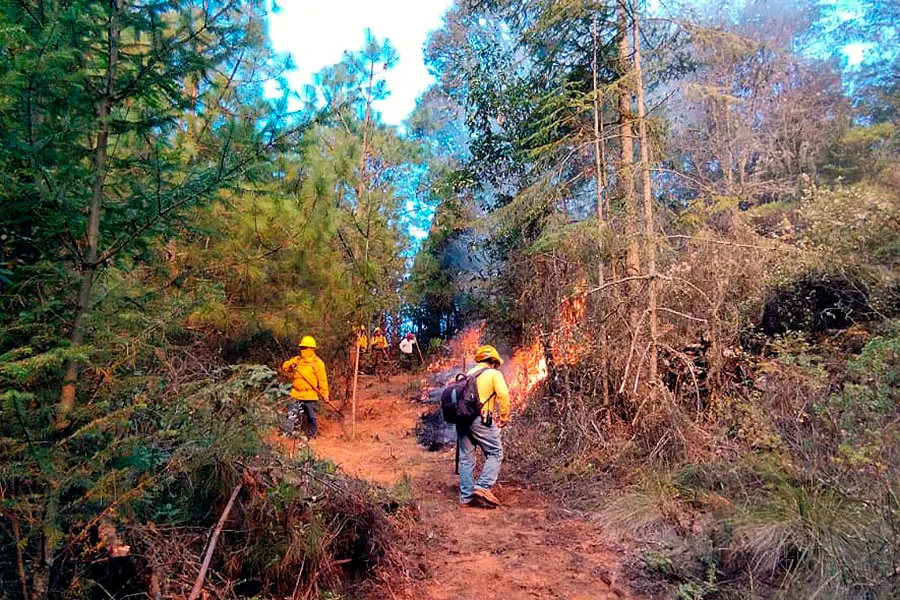 Incendio Forestal Ixtacamaxtitlan