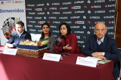 Ocupa México primer lugar en Latinoamérica en  producción de hongos comestibles